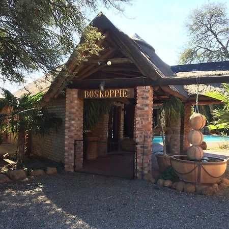 Boskoppie Lion & Tiger Reserve Kroonstad Ngoại thất bức ảnh