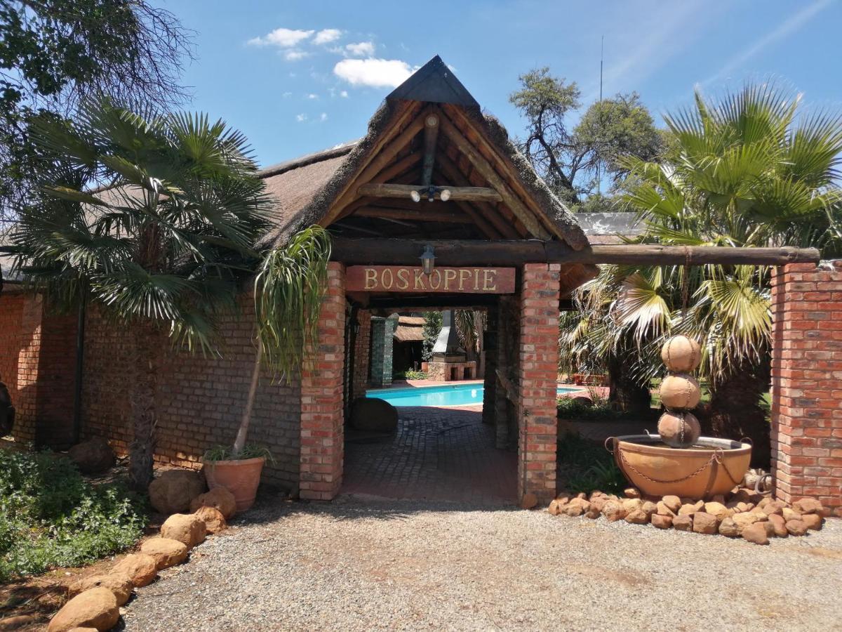 Boskoppie Lion & Tiger Reserve Kroonstad Ngoại thất bức ảnh