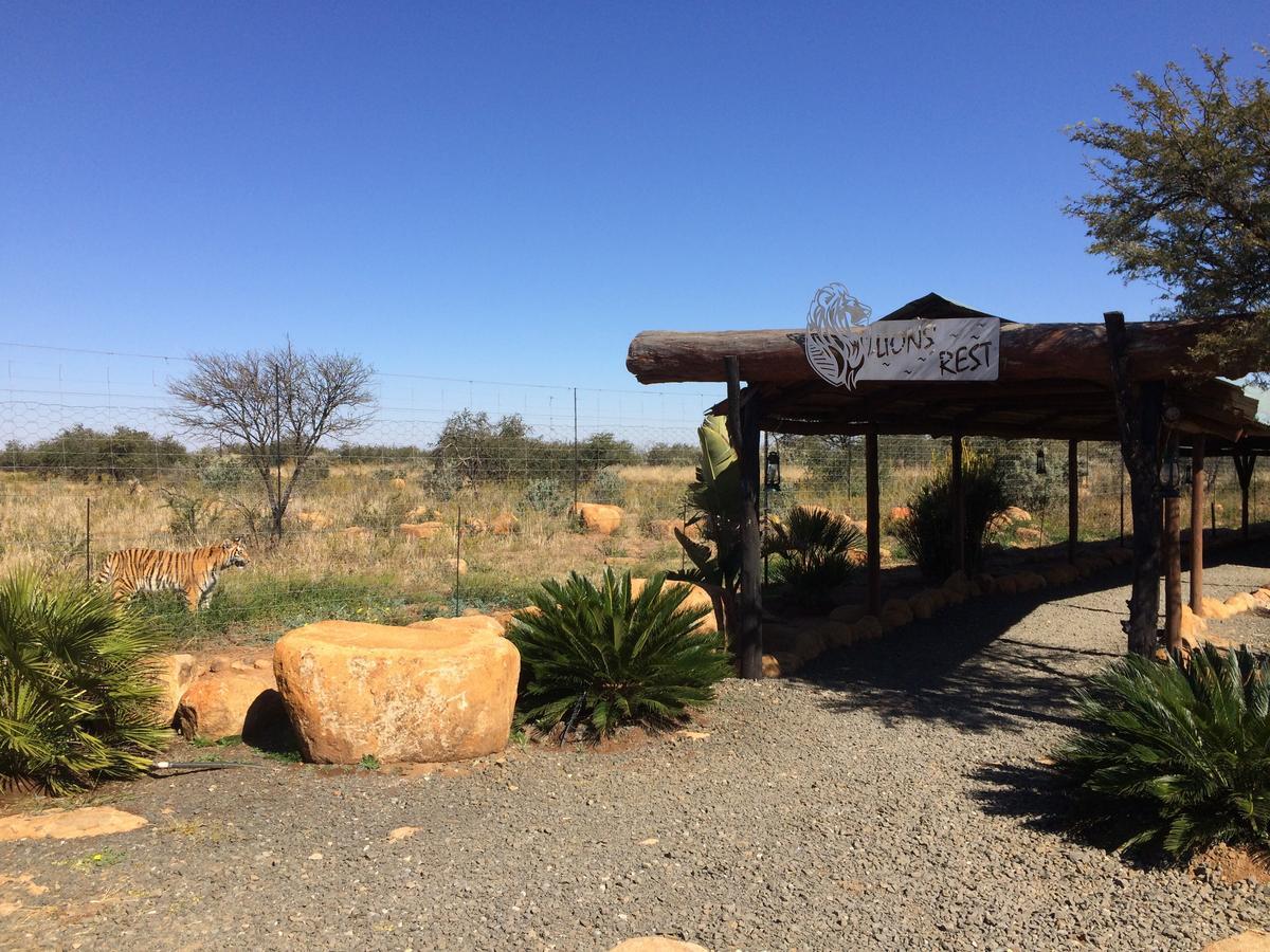 Boskoppie Lion & Tiger Reserve Kroonstad Ngoại thất bức ảnh