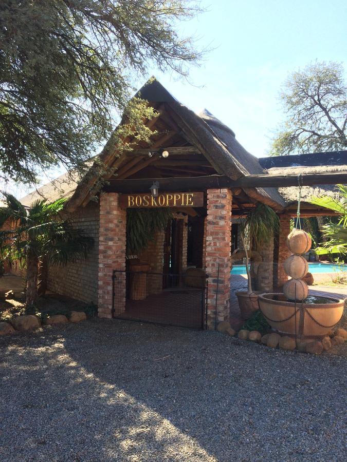 Boskoppie Lion & Tiger Reserve Kroonstad Ngoại thất bức ảnh